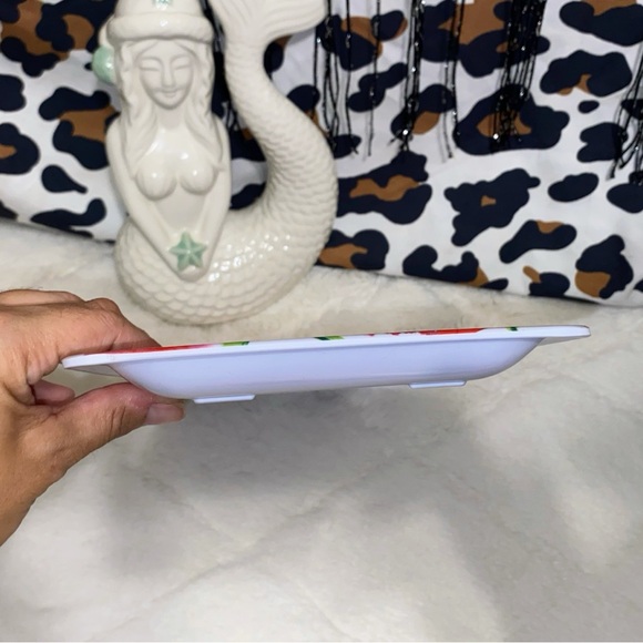 WATERMELON DRYING MAT & DISH SET - Picture 6 of 8